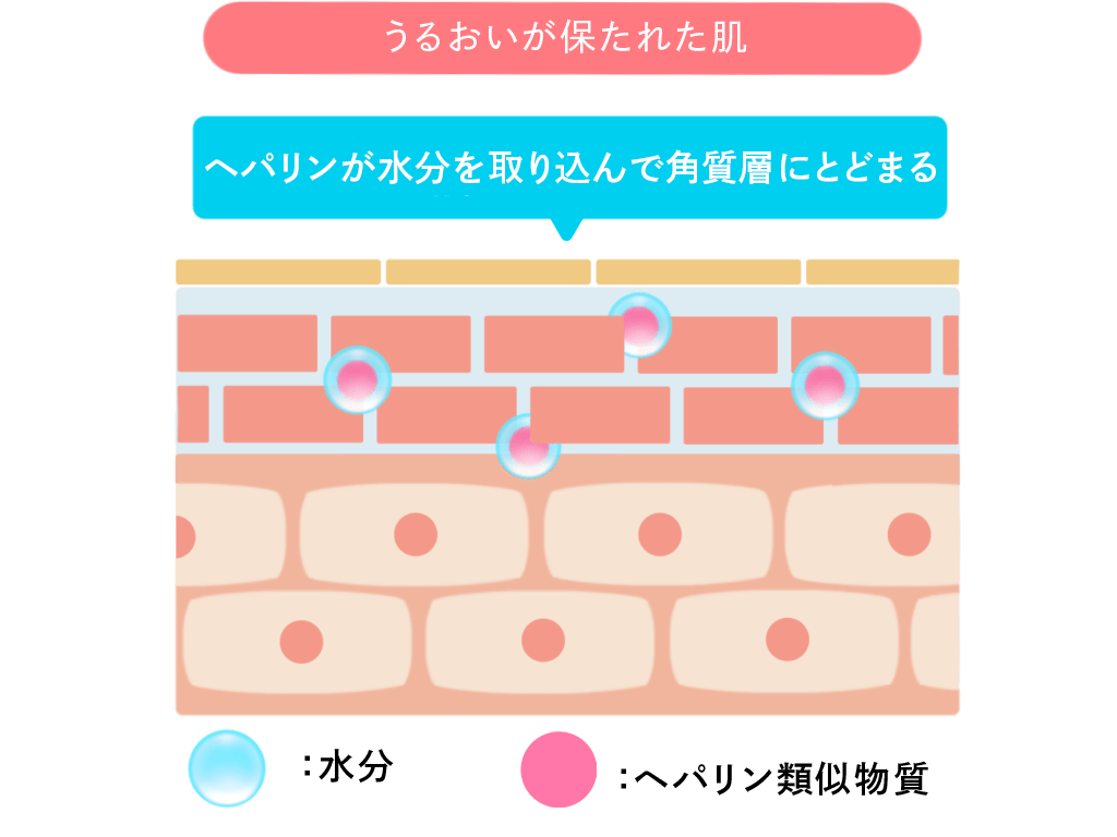 うるおいが保たれた肌のモデル