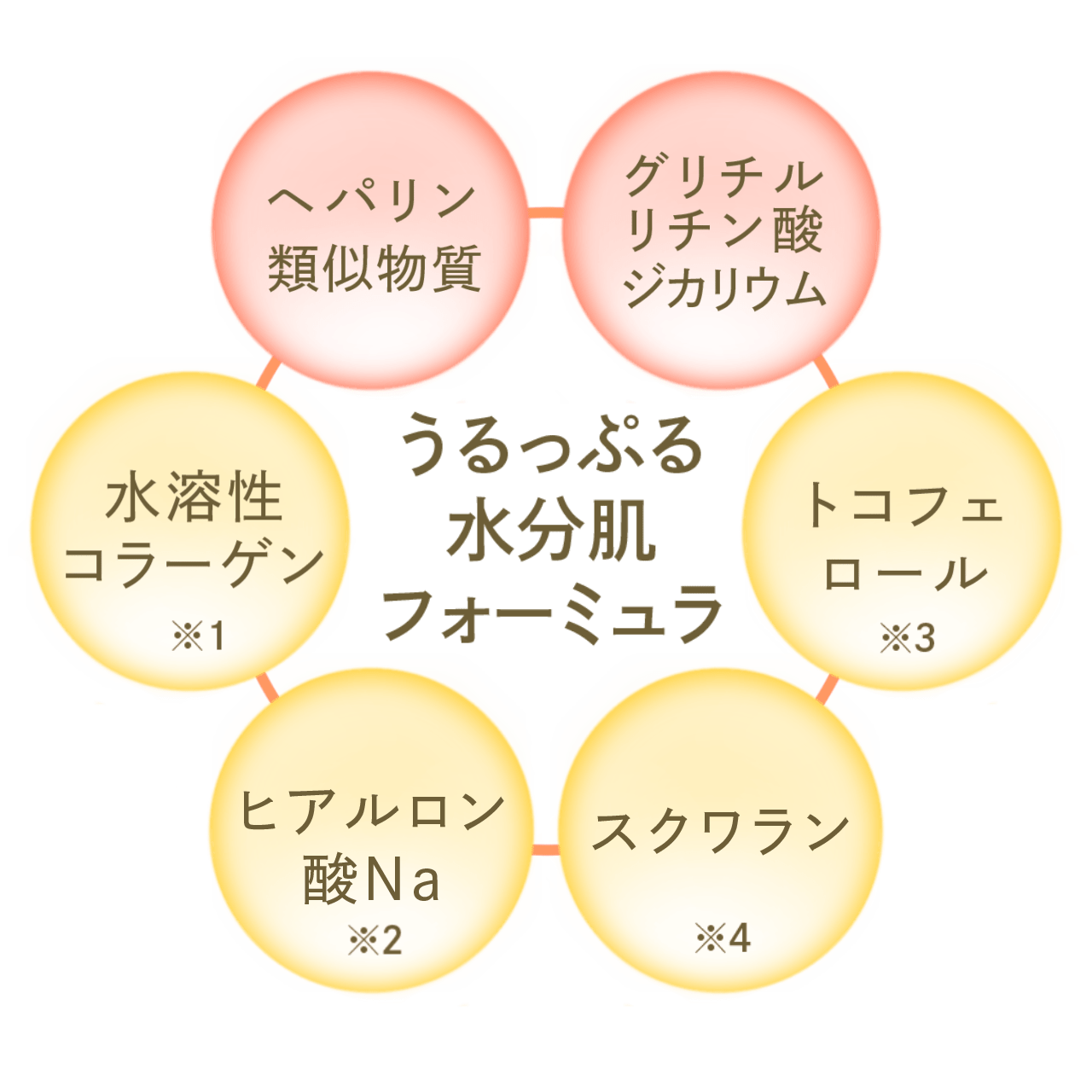 4つのコンセプト成分